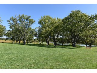 Property photo 33 - Tillable, Pasture, Recreational, Hunting and Fishing Property  